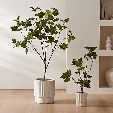 Faux Potted Brown Turkey Fig Tree | West Elm (US)