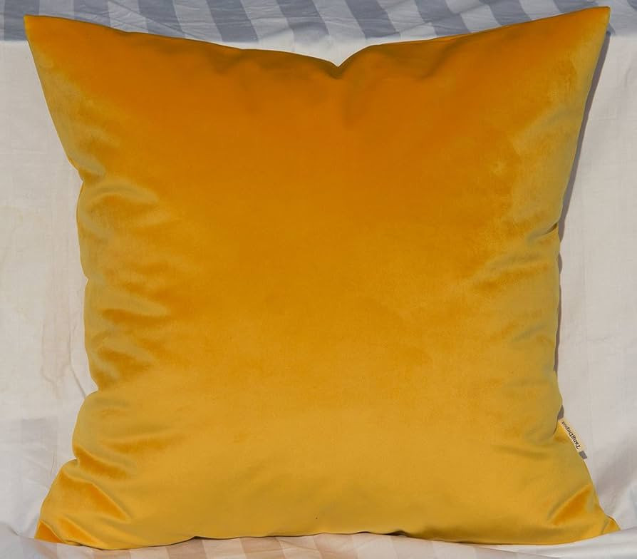 TangDepot Solid Velvet Throw Pillow Cover/Euro Sham/Cushion Sham, Super Luxury Soft Pillow Cases,... | Amazon (US)
