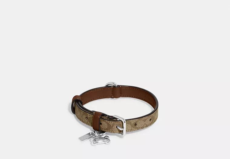 Boxed Small Pet Collar In Signature Canvas | Coach Outlet