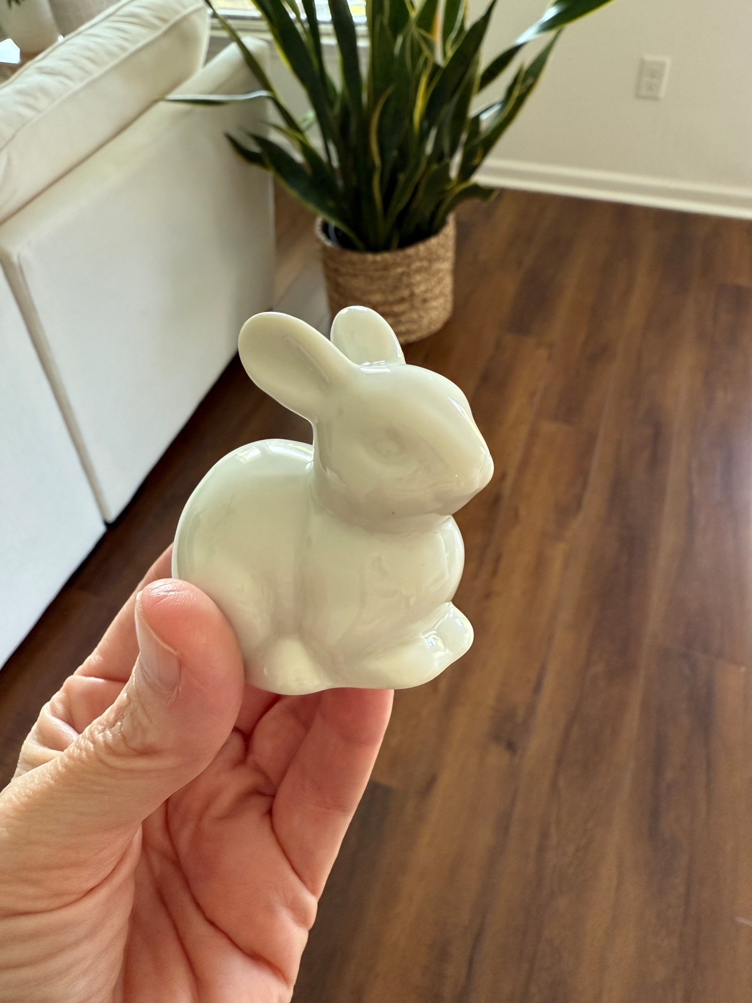 The cutest little details make all the difference. They also come in Holiday ones too! #toiletboltcover #bathroomdecor #rabbitdecor

#LTKFindsUnder50 #LTKSaleAlert #LTKHome