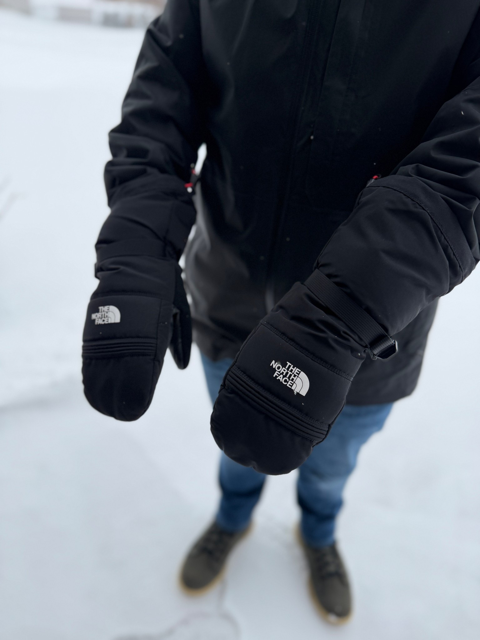 The north face mittens have been our favorite winter gear this season! Especially with all of the snow we’ve been getting 

#LTKMens #LTKSeasonal #LTKTravel