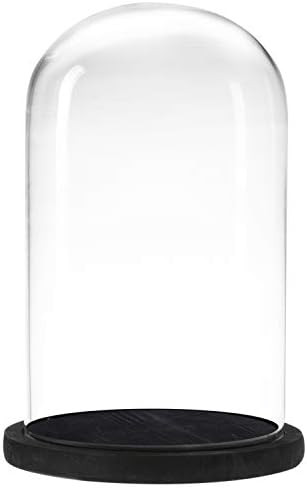 MyGift Decorative Clear Glass Cloche Bell Jar Display Case with Black Rustic Wood Base, 10 x 7 In... | Amazon (US)