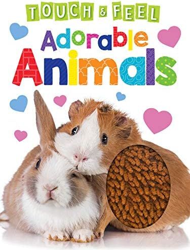 Adorable Animals - Touch and Feel Board Book - Sensory Board Book | Amazon (US)