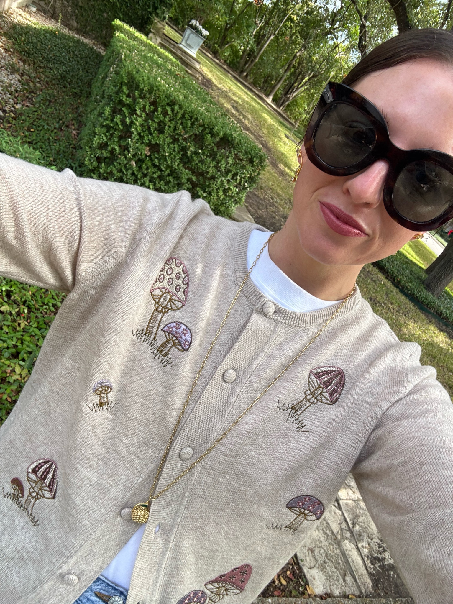 Sweater is le lion