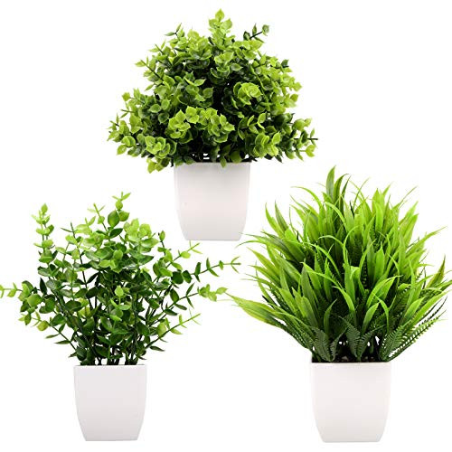 GREENTIME 3Pack Mini Fake Plants in Pots Artificial Plastic Eucalyptus Plant Wheat Grass Potted Faux Greenery Indoor for Office Desk Coffee Table Bathroom Bedroom Home Decorations | Amazon (US)
