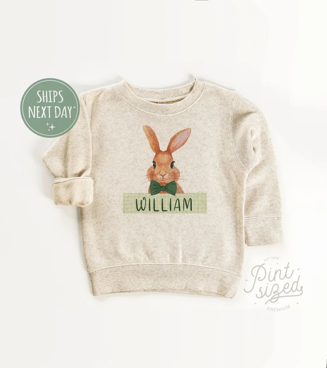 Boys Easter Sweatshirt Personalized Spring Pullover Easter Bunny Natural Crew Neck - Etsy | Etsy (US)