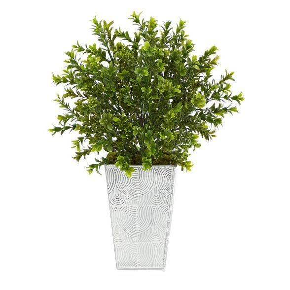 Nearly Natural 19" Indoor/Outdoor Boxwood Artificial Plant in Embossed Planter White | Target