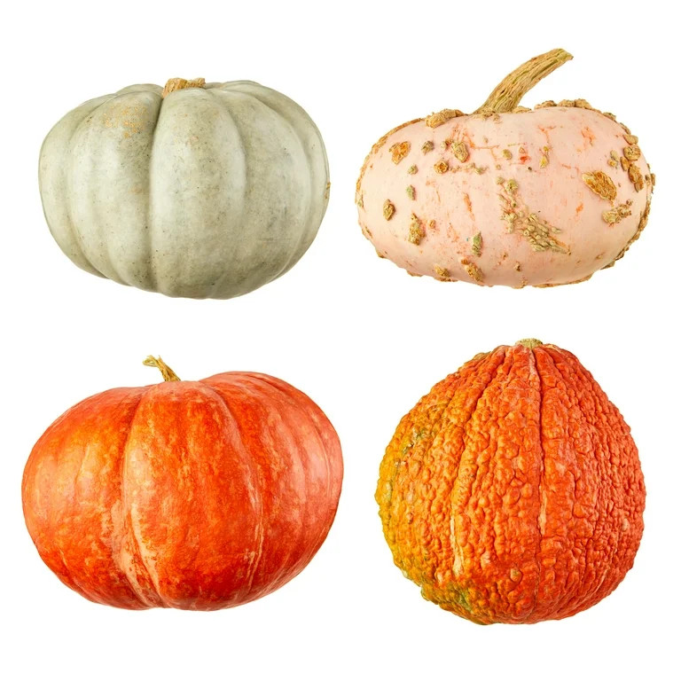 Autumn Pumpkins, Each (Color and Variety May Vary) | Walmart (US)