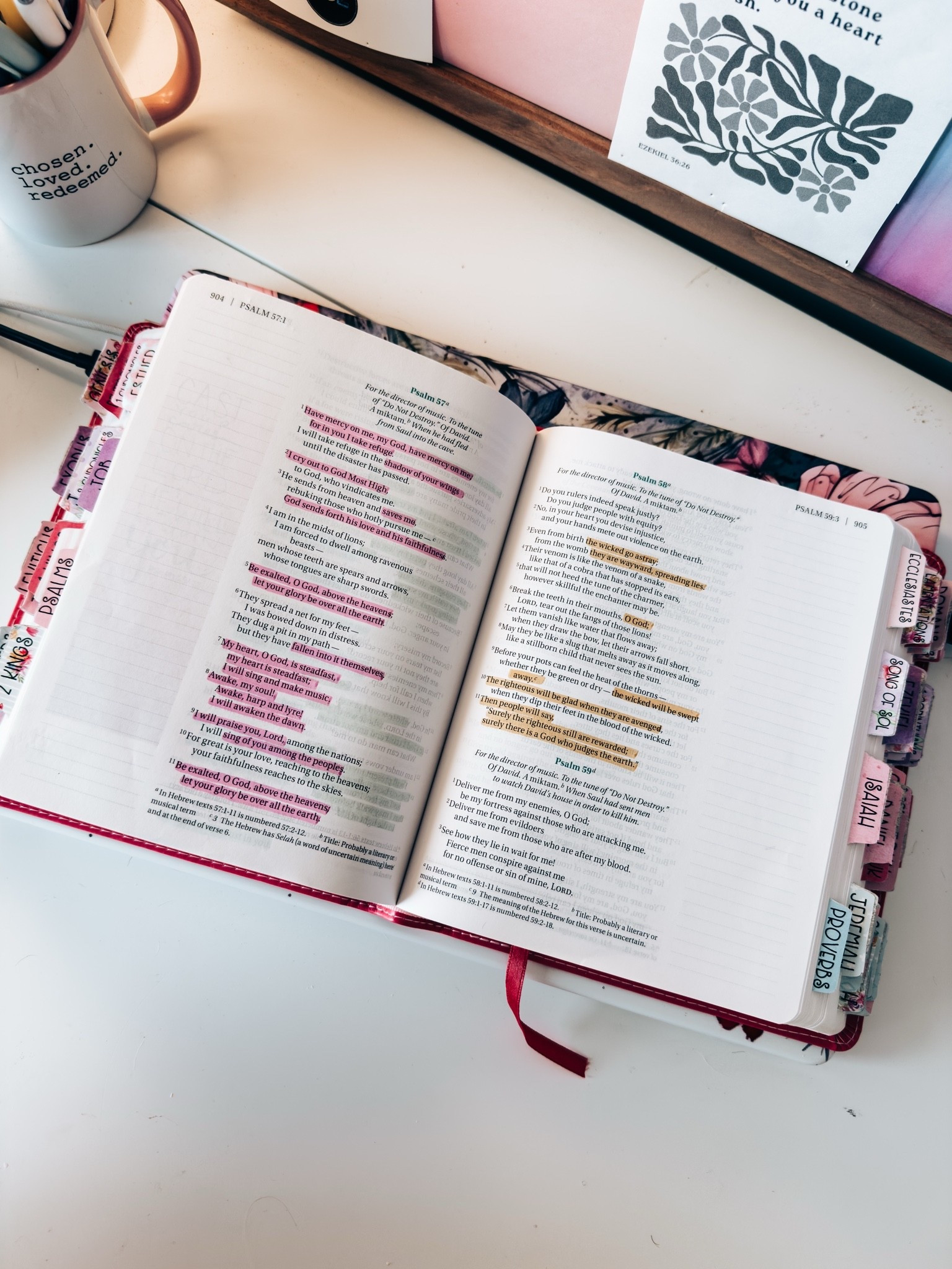 Quiet moments with my Bible

#LTKdayinmylife #LTKmorningroutine #LTKHome