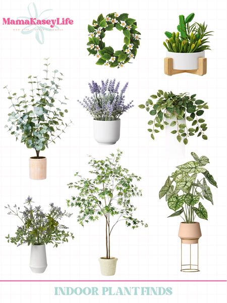 Target home decor, indoor plants, fake plants, faux plants, potted plants, olive tree, lavender plant, greenery wreath, 


#LTKSeasonal #LTKfindsunder50 #LTKhome