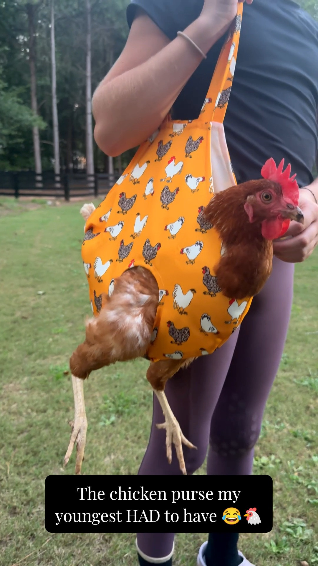 Hadley’s obsessed with chickens so naturally she HAD to have this chicken purse from Amazon 🐓

#LTKSaleAlert #LTKdayinmylife