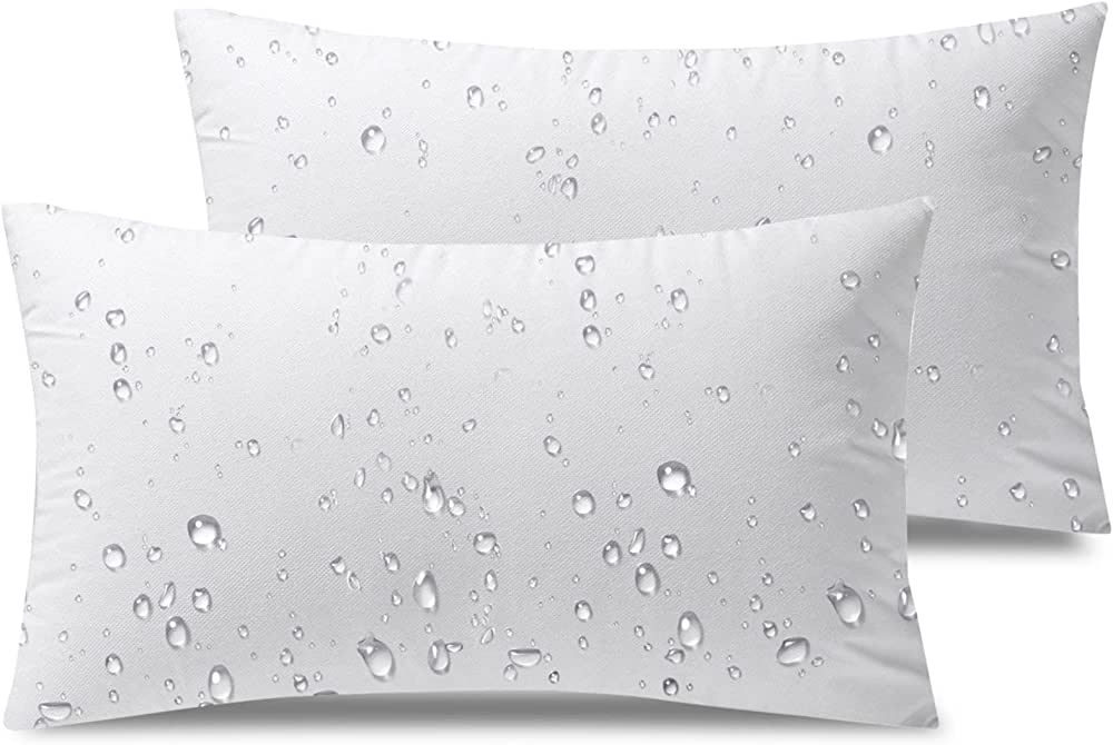 Phantoscope Premium Outdoor Pillow Inserts - Pack of 2 Square Form Water Resistant Decorative Thr... | Amazon (US)