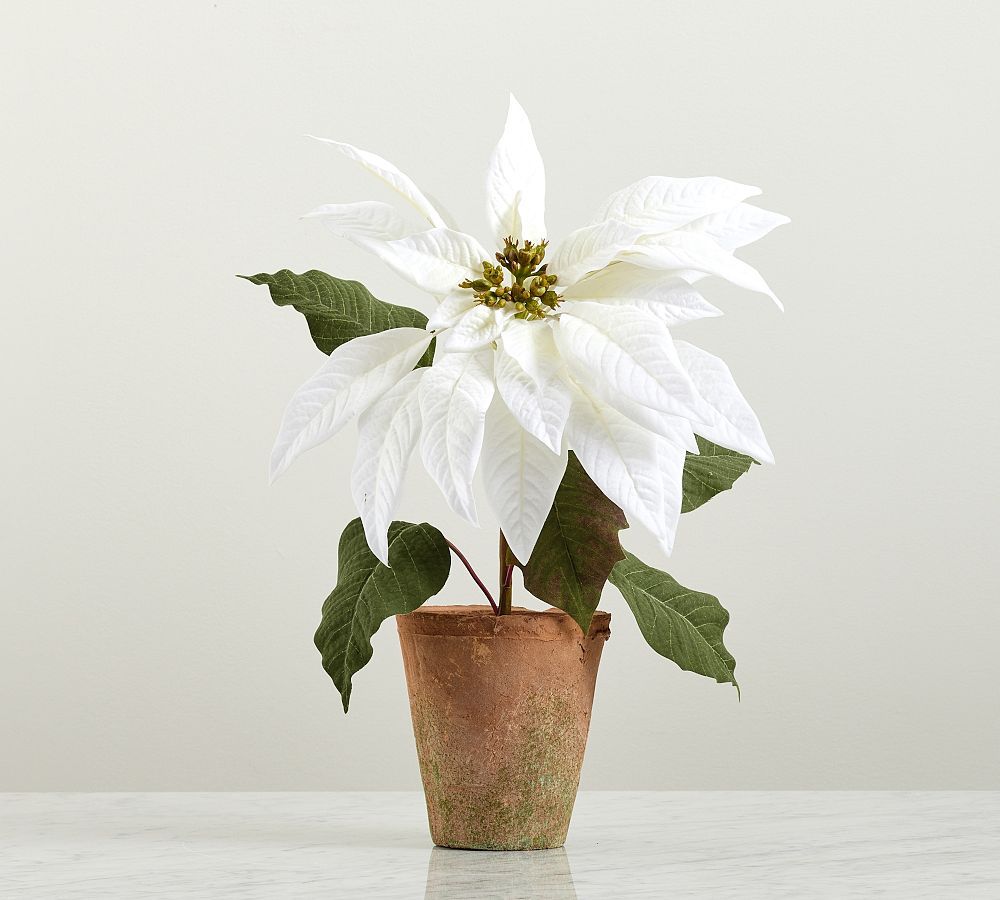 Faux Potted Poinsettias | Pottery Barn (US)