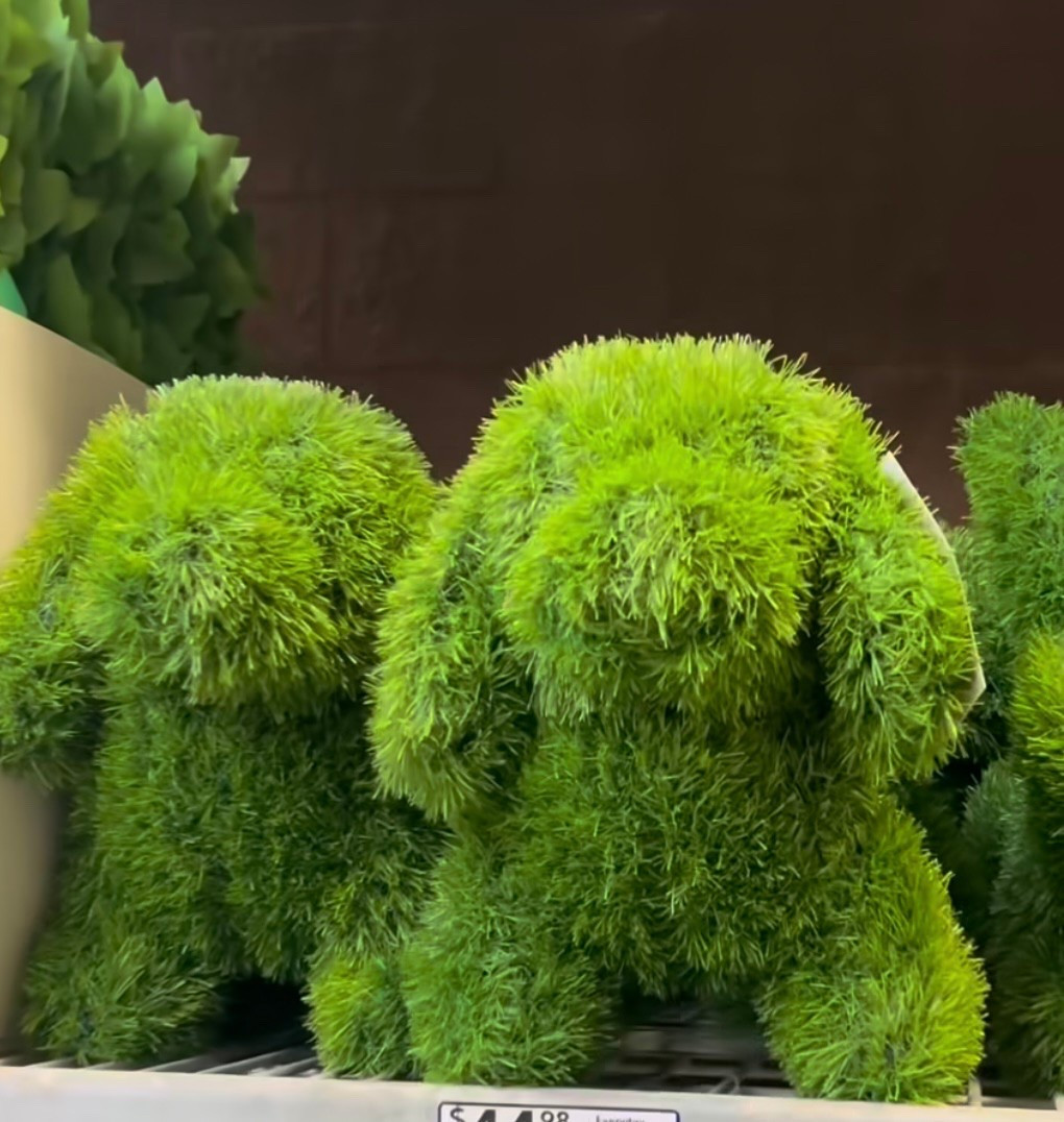 How CUTE are these for my puppy lovers 

#LTKSeasonal #LTKHome #LTKPets