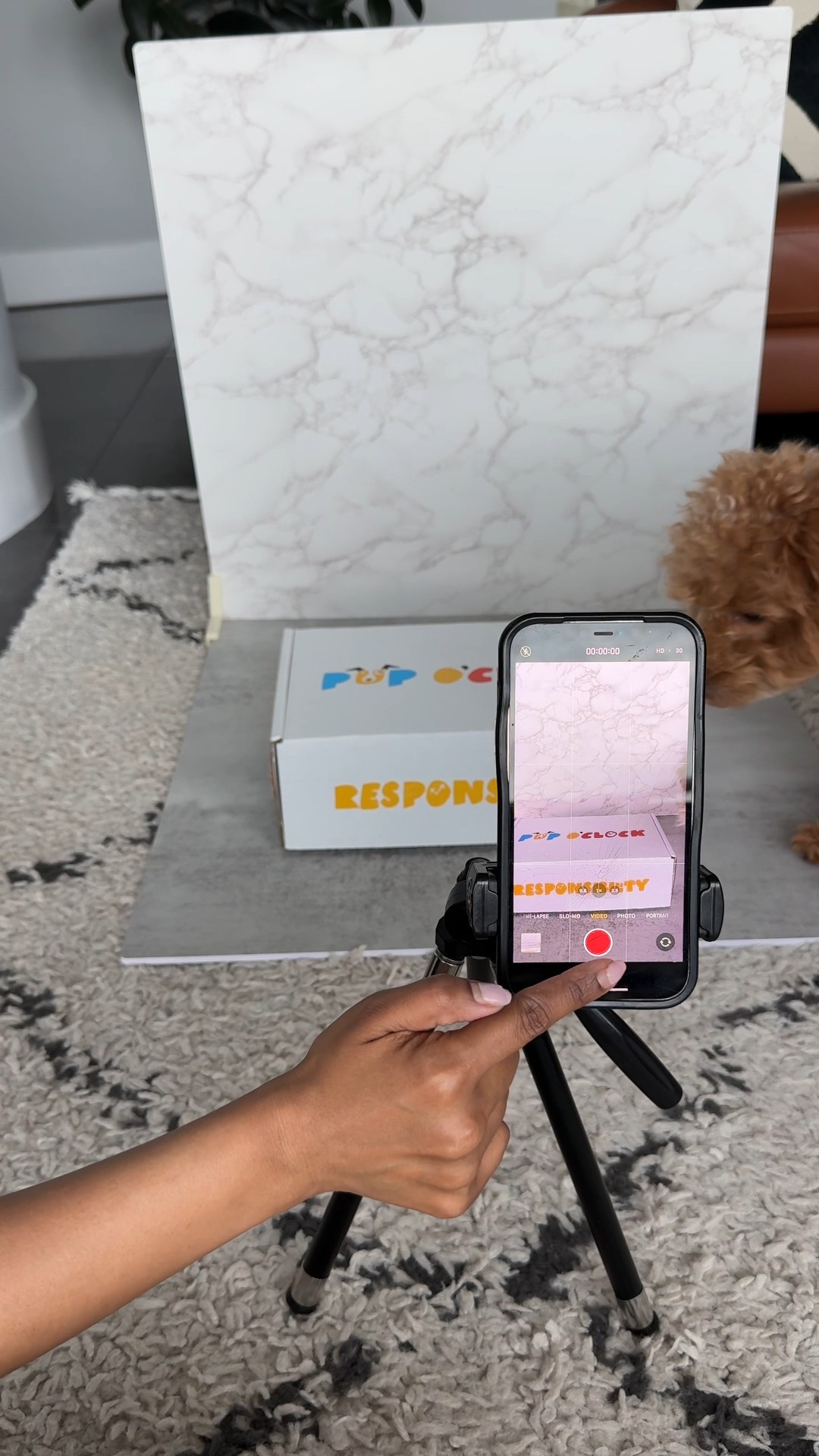 Sharing behind the scenes of how I create content for paid collaborations using my $30 tripod and backdrop. If you’re looking to start as an influencer or content creator, these two are a must have!

#LTKFindsUnder50