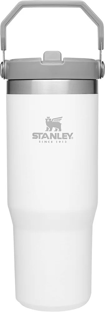 Stanley IceFlow Stainless Steel Tumbler with Straw, Vacuum Insulated Water Bottle for Home, Offic... | Amazon (US)