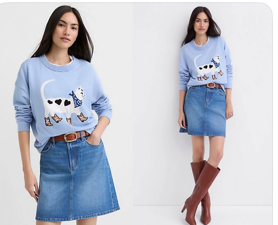 Cowboy Cat Sweater
30% off

#LTKSaleAlert