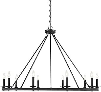 Savoy House 1-310-10-89 Middleton 10-Light Matte Black Modern Farmhouse Industrial Circular Ring ... | Amazon (US)