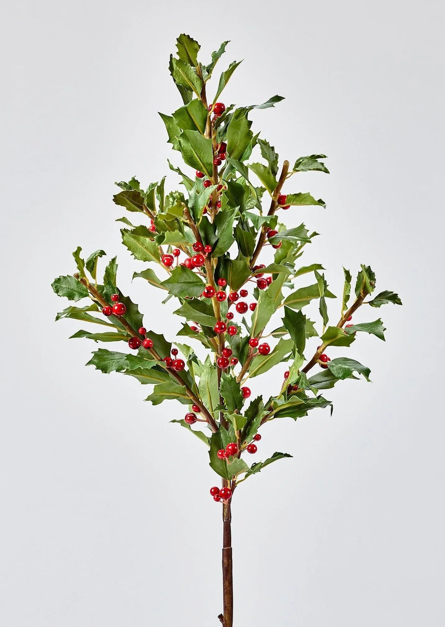 Faux Holly Branch - 36" | Afloral
