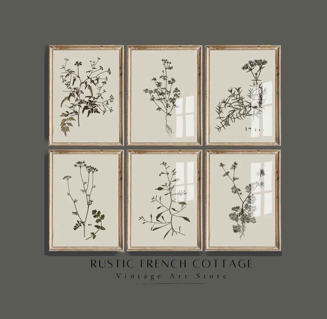 Vintage Botanical Set of 6 | Antique Herbarium Prints | Rustic French Farmhouse Décor | Elegant ... | Etsy (US)