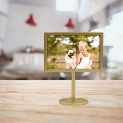 4" x 6" Pedestal Single Picture Frame Brass - Project 62™ | Target