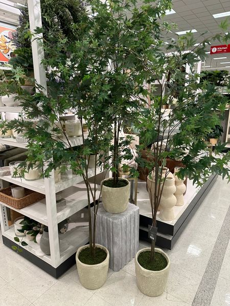 Love this artificial maple tree from target! 

Follow me @ahillcountryhome for daily shopping trips and styling tips 

Target home, home decor, spring decor 

#LTKFind #LTKSeasonal #LTKhome