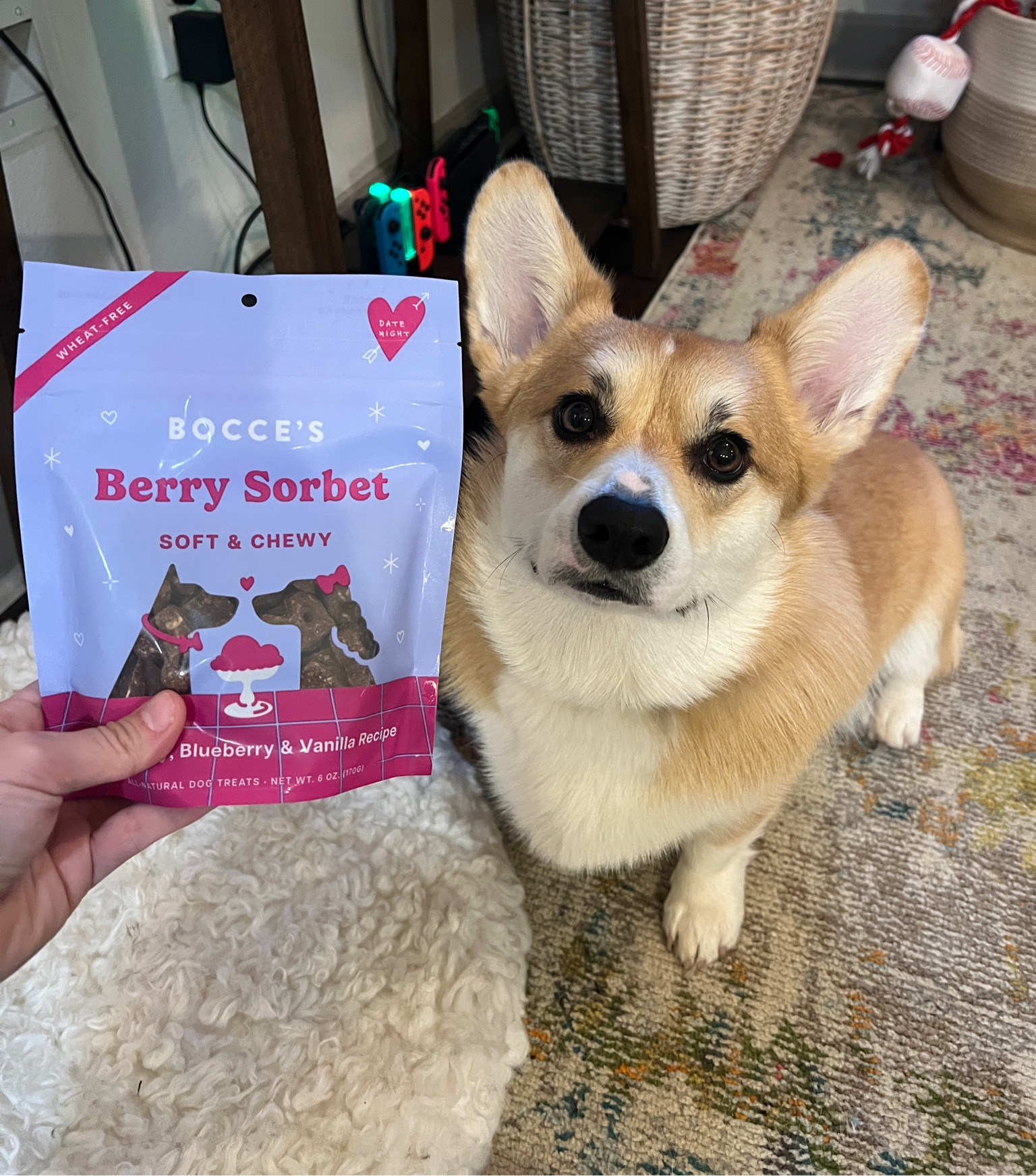 New Bocce’s Valentines treats 💘 

#LTKSeasonal #LTKfindsunder50