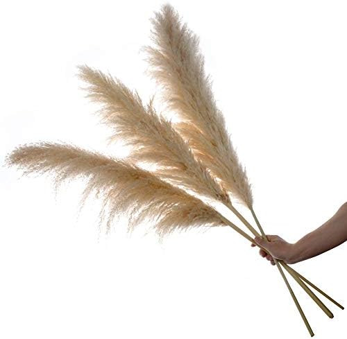 GOT2GO 3 Stem Natural Dried Large Pampas Grass 48 inches - Fluffy Ornamental Plants for Home Deco... | Amazon (US)