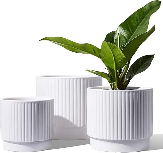 LE TAUCI Ceramic Plant Pots with Drainage Holes, Set of 3, 8+6.5+5.5 Inch Stripe Garden Planter P... | Amazon (US)