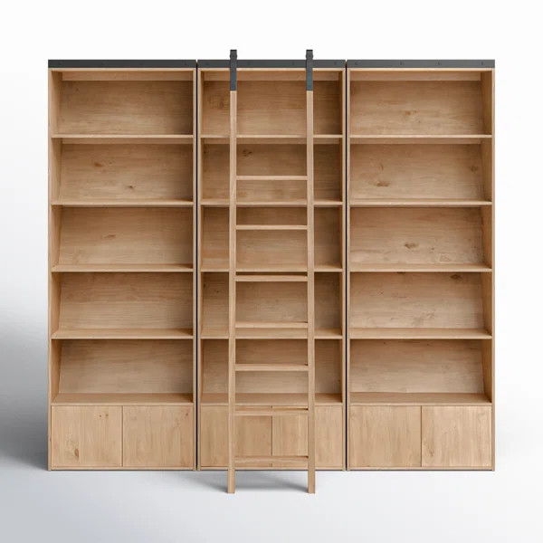 Avely Storage Bookcase | Wayfair North America