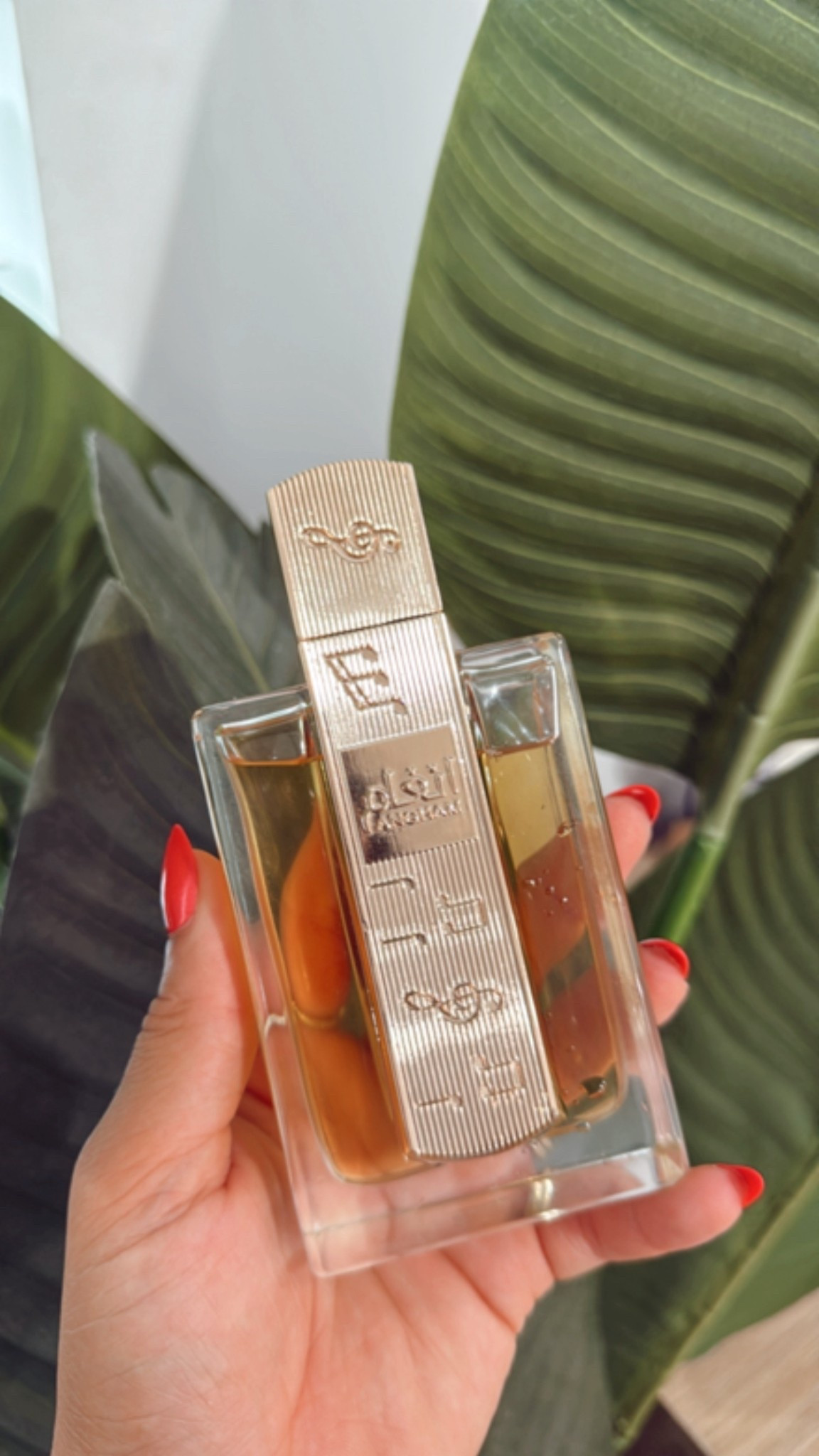 The best perfume you will ever own without breaking the bank! 

#LTKSummerEdit #LTKSeasonal #LTKFindsUnder50