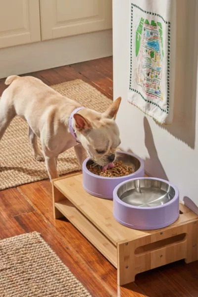 Wild One Stainless Steel Dog Bowl in Lilac at Urban Outfitters | Urban Outfitters (US and RoW)