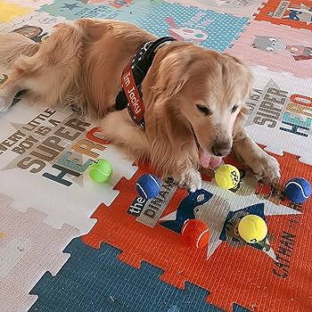 insum Tennis Ball for Dog Pack of 12 Colorful Easy Catching Pet Dog Ball (2.5'',12Pack) | Amazon (US)