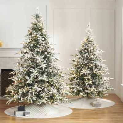 Wintercrest Fir Tree | Frontgate | Frontgate