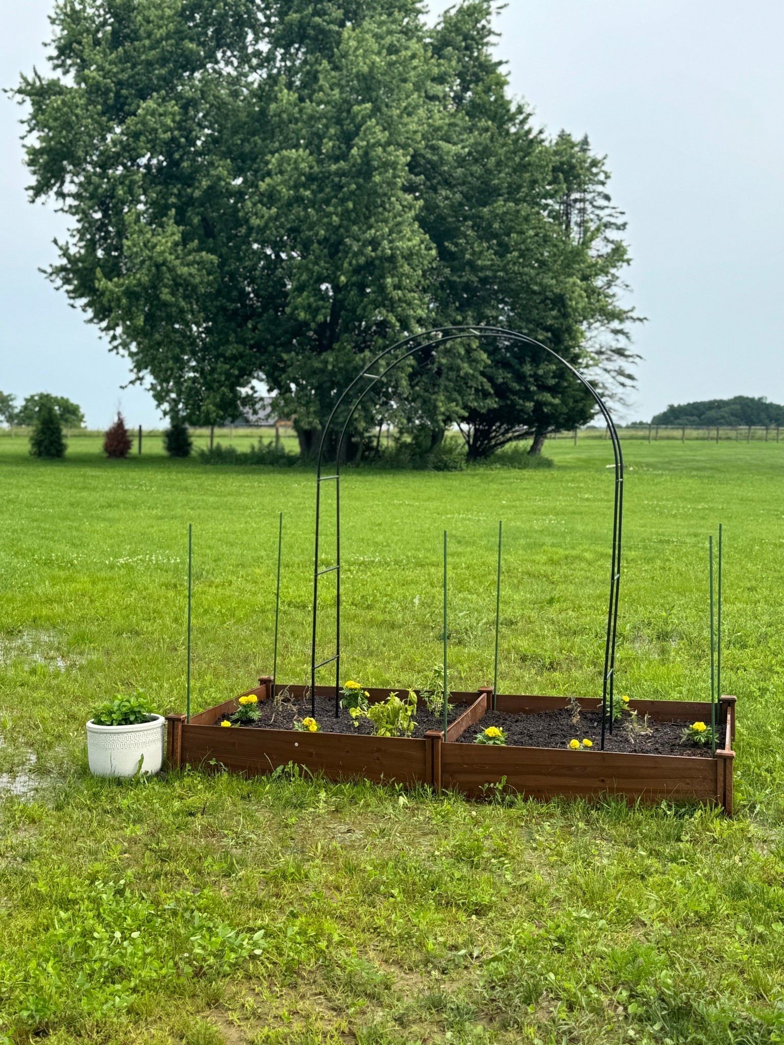 This little raised bed garden has brought me so much joy this summer.

It’s small, manageable, and just enough space for a few herbs, tomatoes, and flowers. The arch trellis gives it a little charm, and the setup was way easier than I expected—everything came from Amazon!

raised garden bed, beginner garden setup, backyard garden inspiration, easy garden ideas, garden trellis arch, Amazon garden finds, small space gardening, herb and veggie garden, mom-friendly garden project

#LTKHome #LTKSeasonal #LTKFindsUnder100