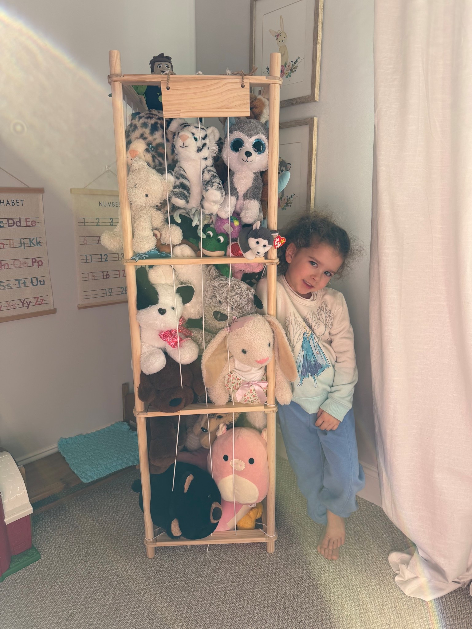 Stuffed animal organization for my girl who LOVES stuffies and must be able to see them 😂🙃 
We found a solution. 

They have a smaller size for a smaller collection. 

Girls room organization. Tidy up. Kids room. 

#LTKKids #LTKmomlife #LTKHome