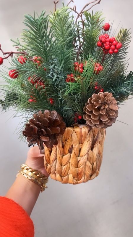 Do use a little pinecone and red berry. Evergreen pots are absolutely perfect. Christmas decor. 

#LTKHoliday #LTKSeasonal #LTKfindsunder50