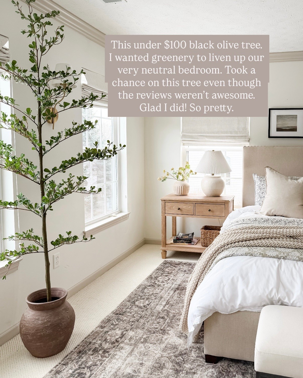 This lil black olive tree is such a great budget find on Amazon! Love it in our bedroom.

#LTKHome