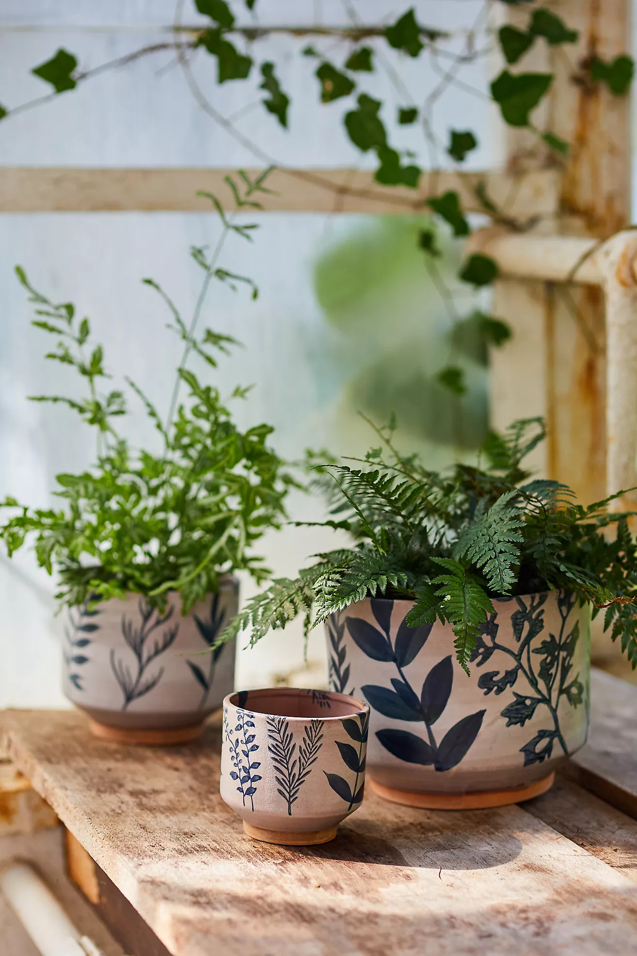 Ceramic Botanics Footed Planter | Anthropologie (US)