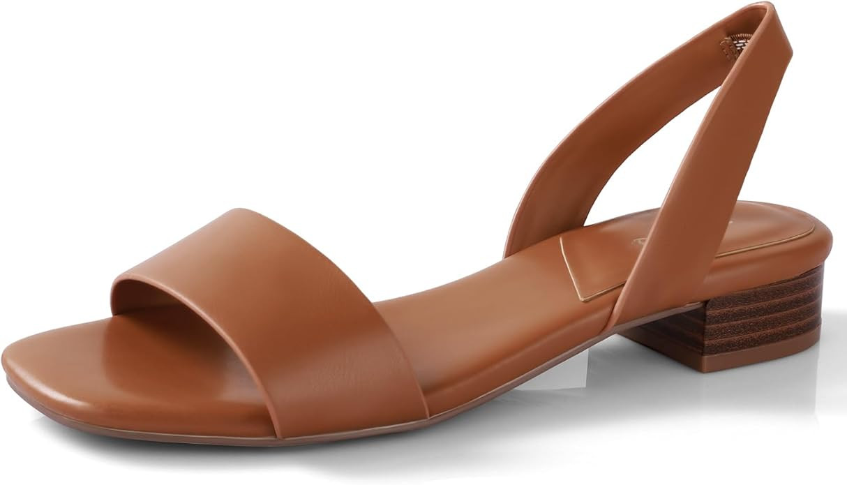 Visit the Ankis Store | Amazon (US)