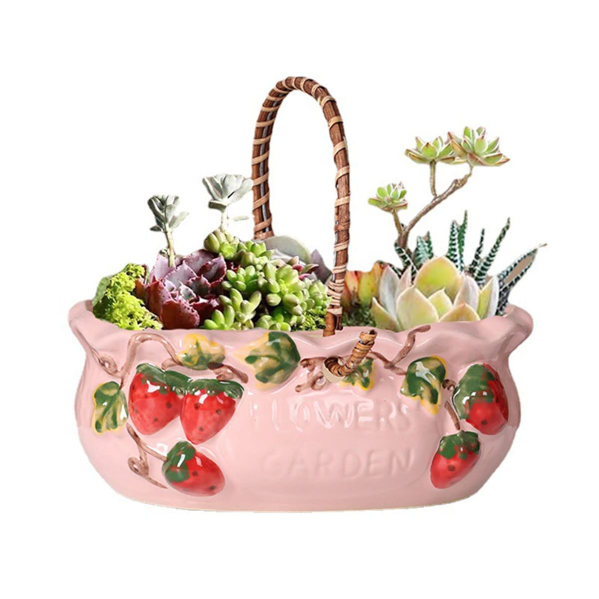 Sizikato Stoneware Porcelain Flowerpot with Handle, 7.3-Inch Succulent Planter, Red Strawberry Em... | Amazon (US)