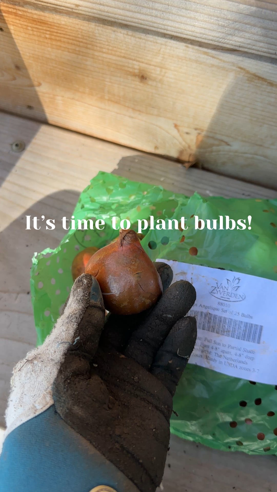 Planting bubs in the Fall is like writing yourself a love letter for Spring 😊

#LTKHome