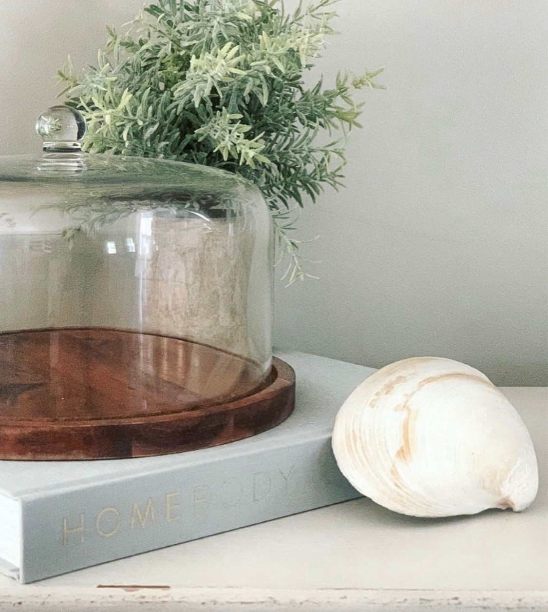 Maine Summers 

Neutral decor, home decor, amazon finds, Amazon home, Amazon deals, target finds, sideboard decor, greenery, shells, beach decor

#LTKHome