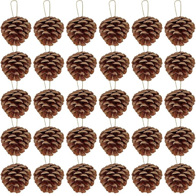 Supla 30 Pcs Christmas Hanging Real Preserved Pine Cones Ornaments 2"-3" Tall Christmas Tree Hang... | Amazon (US)