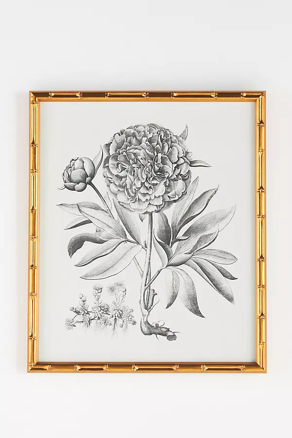 Bessler Study Wall Art | Anthropologie (US)