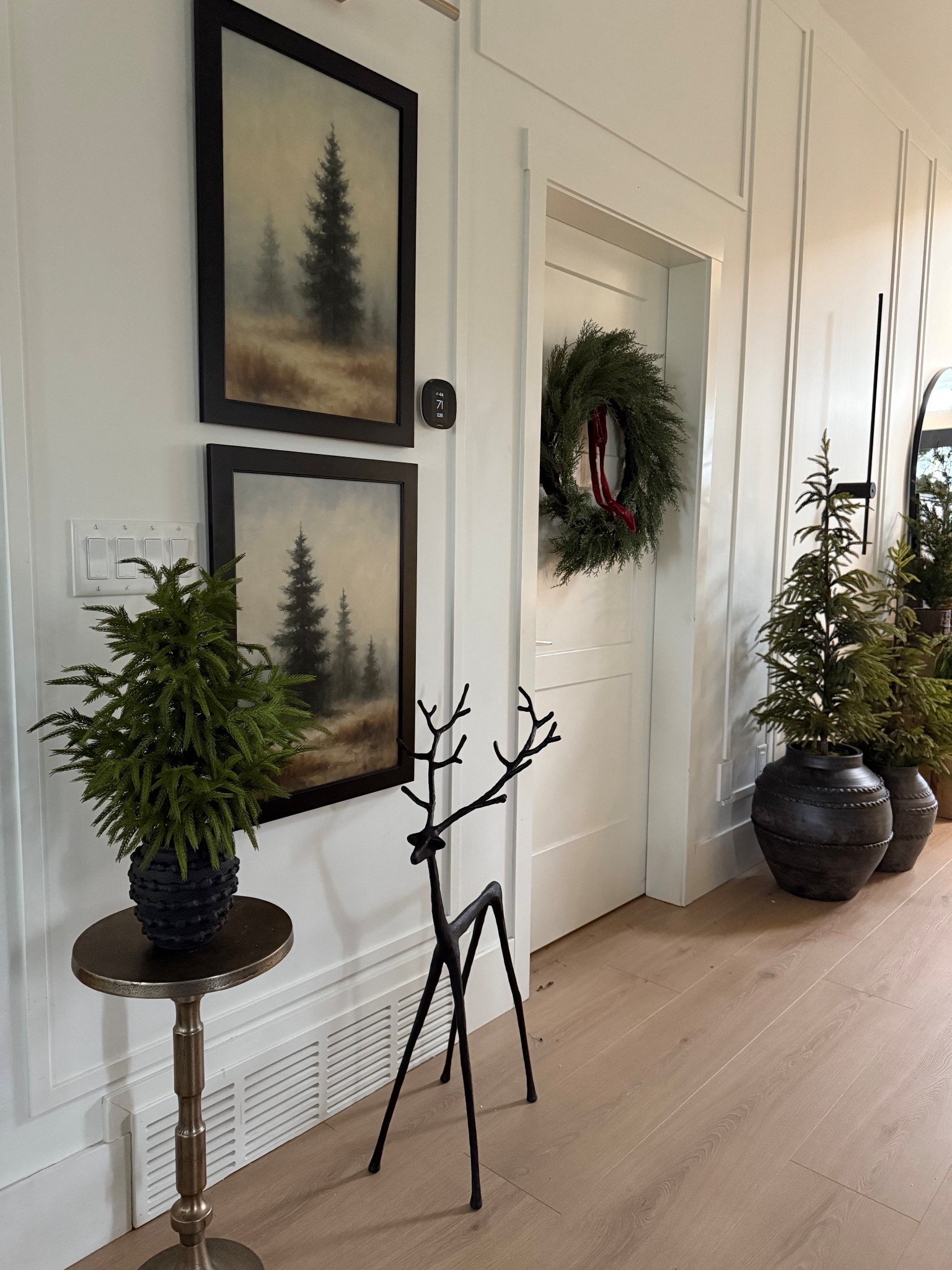 Wintery trees! I love that I can keep these out after Christmas! 
Norfolk pine trees 