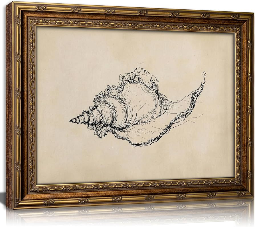 Gold Framed Vintage Canvas Wall Art Seashell Sketch Minimalist Painting Picture Wall Decor Trendy... | Amazon (US)