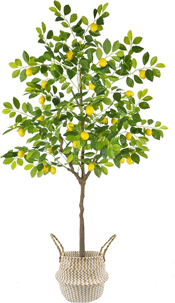 Artificial Lemon Tree, 6ft Tall Fake Lemon Silk Plant with Basket, Faux Lemon Fruit Tree for Indo... | Amazon (US)
