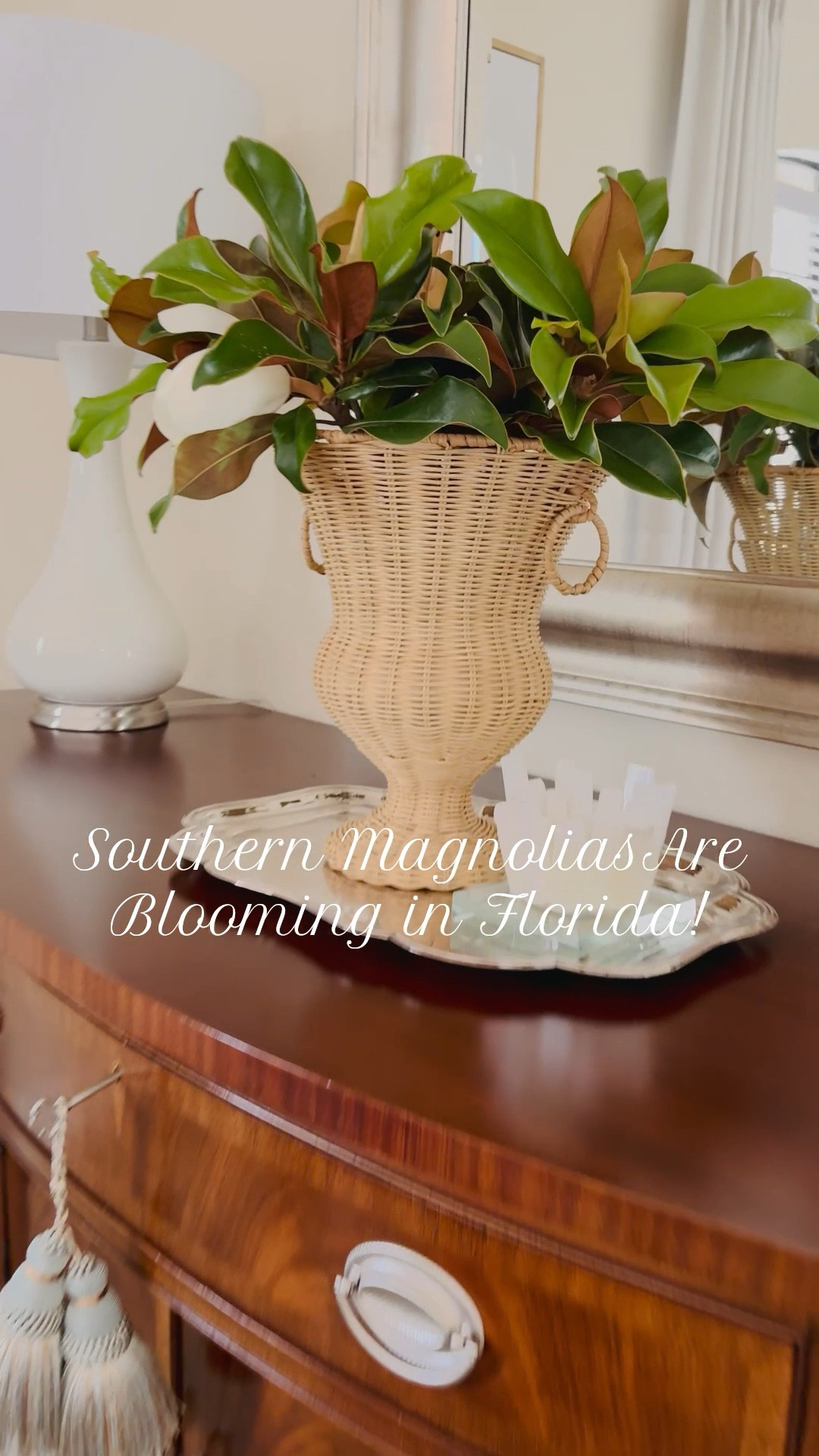 Southern Magnolias are Blooming in Florida! I created this gorgeous centerpiece with just a few branches from my Magnolia tree! I love this rattan urn vase from at home stores, under $30!🤍🌱

#LTKSeasonal #LTKStyleTip #LTKHome