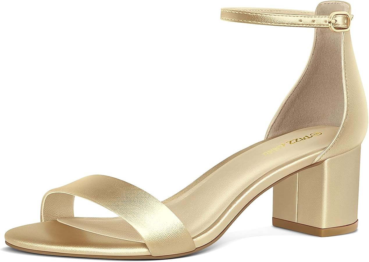 PIZZ ANNU Women's Low Block Chunky Heels Sandals Comfortable Open Toe Ankle Strap Party Dress Pum... | Amazon (US)